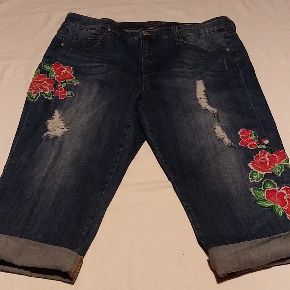 Melissa McCarthy Seven 7 Flower Embroidered Skinny Jeans